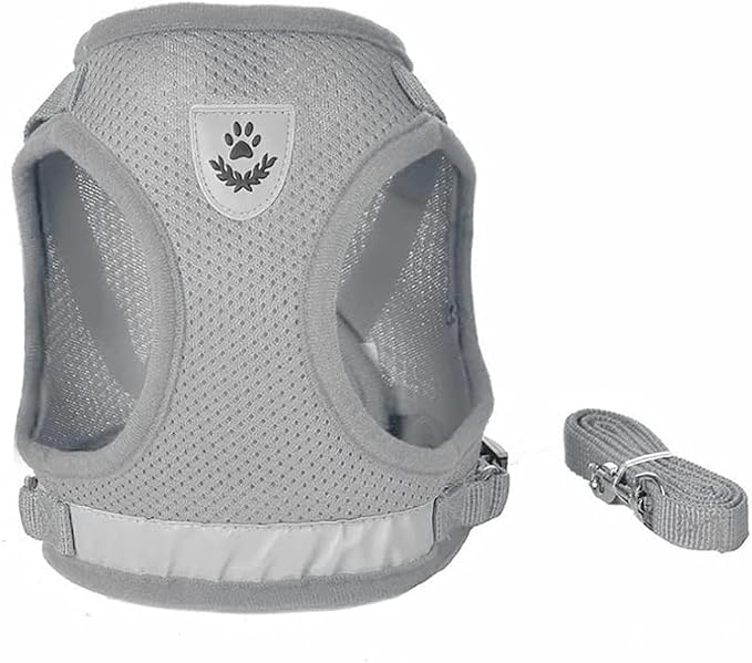 FEimaX Dog Harness and Leash Set - Image 3