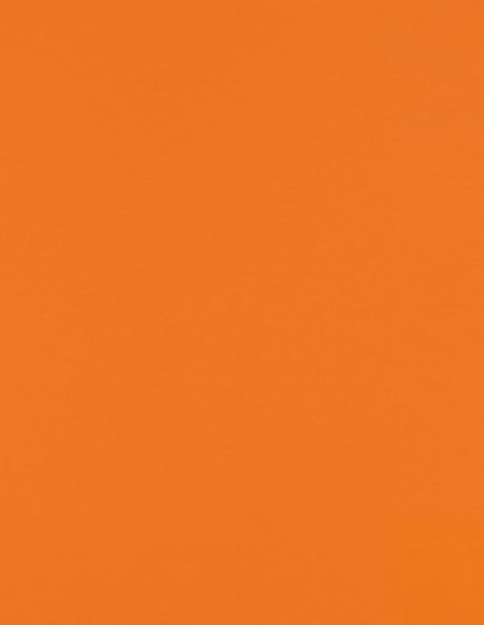 LUXPaper 8.5" x 11" Paper | Letter Size | Mandarin Orange | 80lb. Text | 500 Qty by LUXPaper