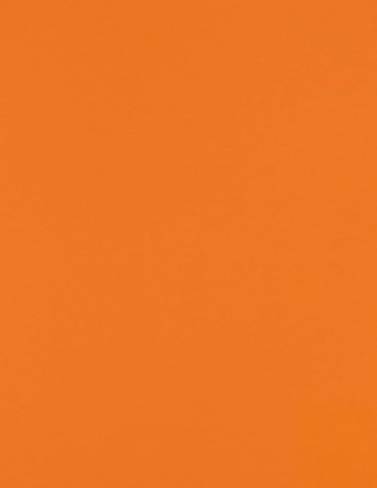 LUXPaper 8.5" x 11" Paper | Letter Size | Mandarin Orange | 80lb. Text | 50 Qty by LUXPaper