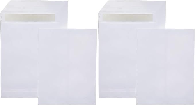 Amazon Basics Catalog Mailing Envelopes, Peel and Seal, 10 x 13 Inch by AmazonBasics