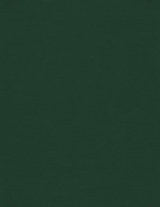 LUXPaper 8.5" x 11" Cardstock | Letter Size | Green Linen | 100lb. Cover | 500 by LUXPaper