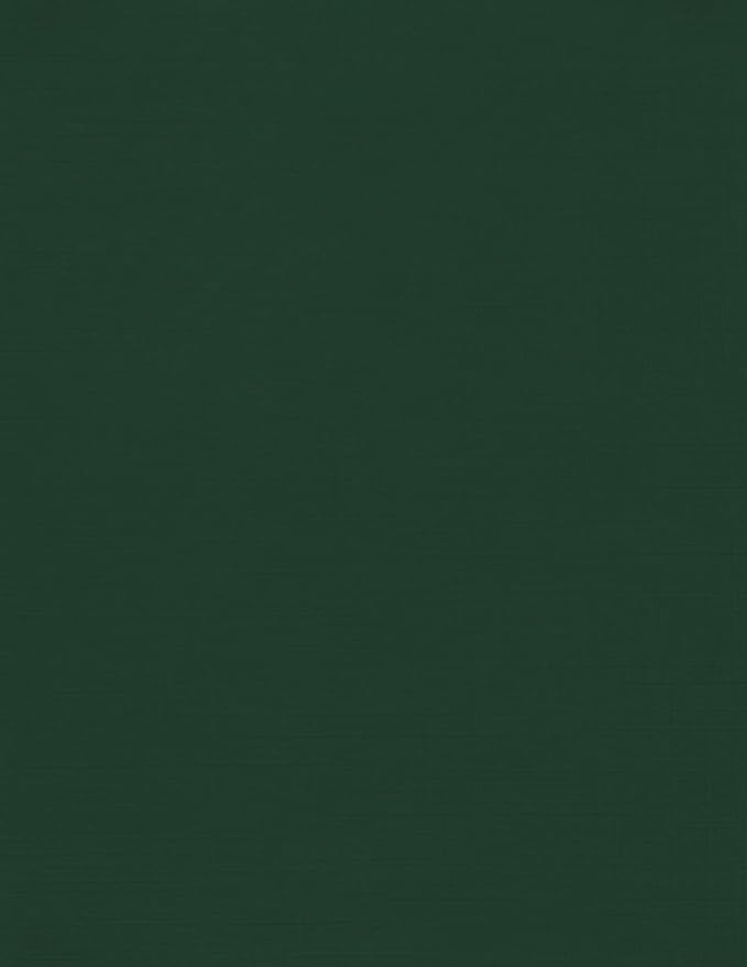 LUXPaper 8.5" x 11" Cardstock | Letter Size | Green Linen | 100lb. Cover | 250 by LUXPaper