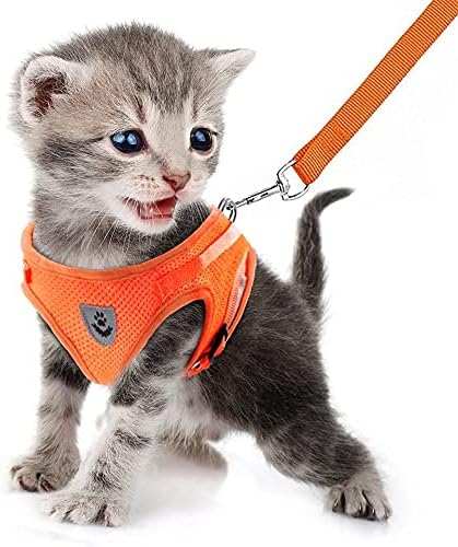 FEimaX Dog Harness and Leash Set - Image 2
