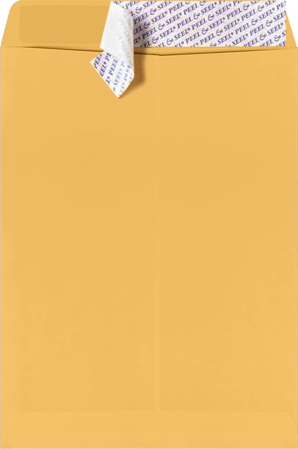 LUXPaper 9 x 12 Open End Envelopes | Peel & Press | Brown Kraft | 28lb. Text | 1 by LUXPaper
