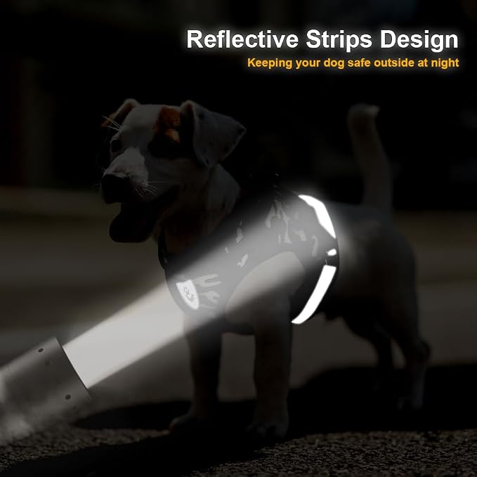 FEimaX Dog Harness and Leash Set - Image 6