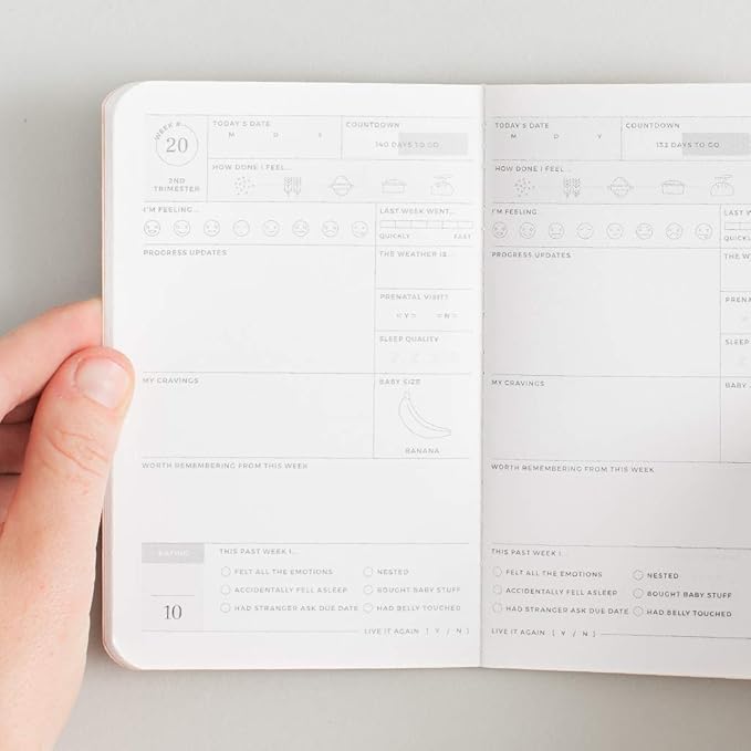 Letterfolk Pregnancy Passport Journal — Pocket-sized Maternity Milestone Book (3.5" W x 5.5" H)