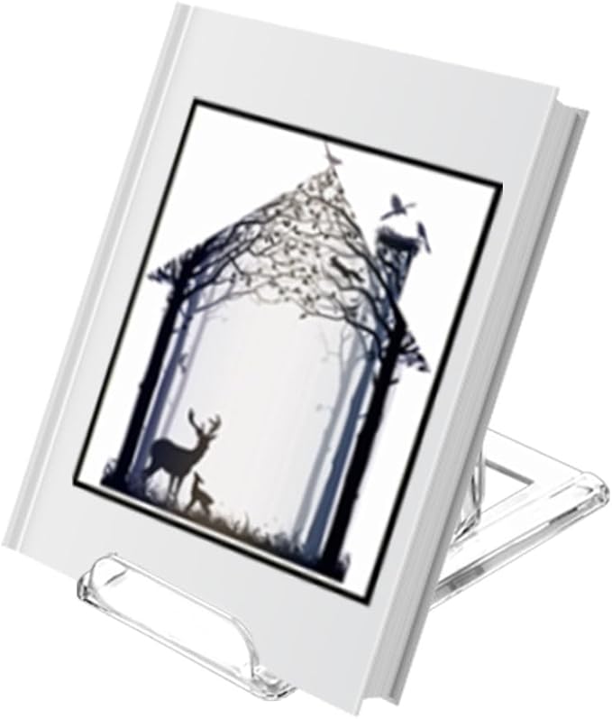（10 Pack ）Acrylic Book Stand for Display Adjustable Clear Display Holder Easel Collector Stand for Home Office Back to School Comic Album CD Magazine Postcard Artworks (4.2 x 4.3 x 2.35 Inch)-DeskLoop Office