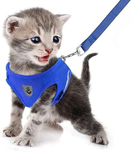 FEimaX Dog Harness and Leash Set - Image 2