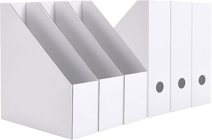 EXYGLO 6 Pack White Magazine File Holder, Cardboard Magazine Rack by EXYGLO