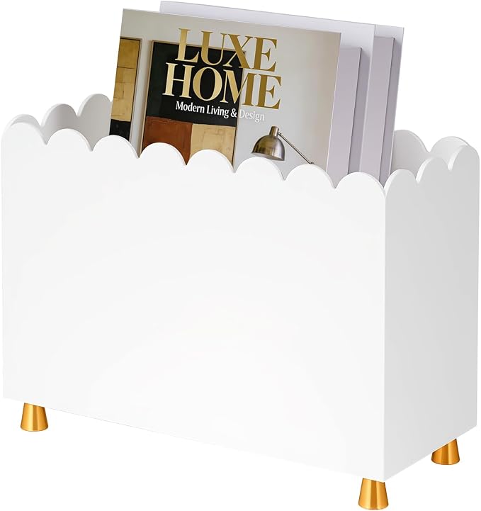 Acrylic Magazine Holder, Magazine Rack Floor, Sleek White Stylish Organizer by TOCEMEI