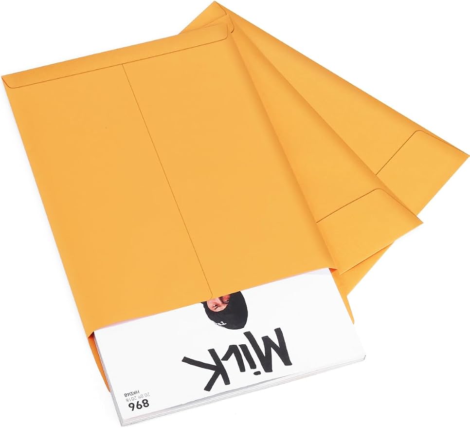 Eupako Catalog Mailing Envelopes 9x12 Brown Envelopes Self Seal 250 Pack - Image 8