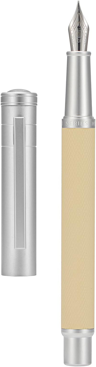 Silver Birch Forest Aluminum Fountain Pen Extra Fine Nib with Converter and Metal Case Set By Asvine-DeskLoop Office