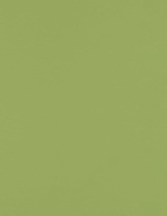 LUXPaper 8.5" x 11" Paper | Letter Size | Avocado Green | 70lb. Text | 250 Qty by LUXPaper