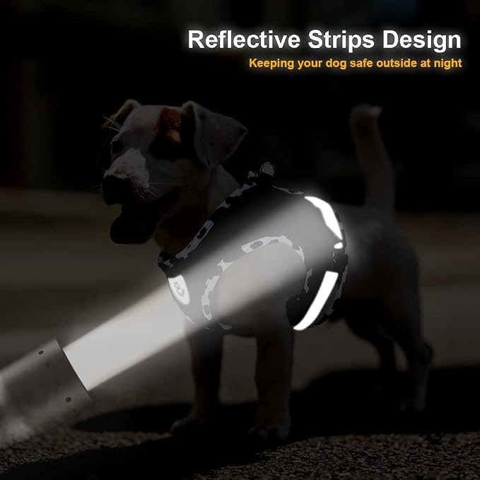 FEimaX Dog Harness and Leash Set - Image 6