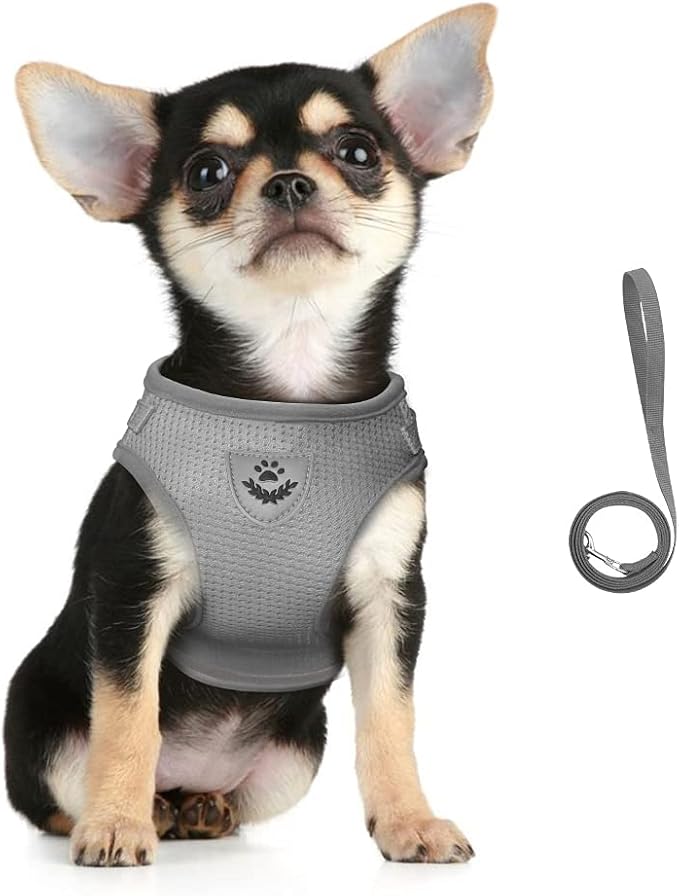 FEimaX Dog Harness and Leash Set - Image 2