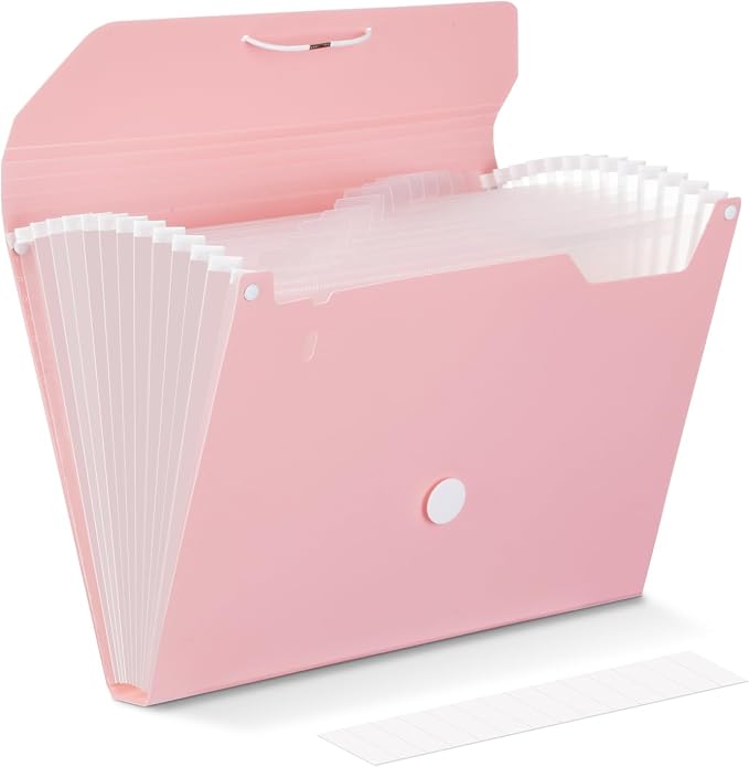 Comix Accordion File Organizer, 13 Pocket, by Comix