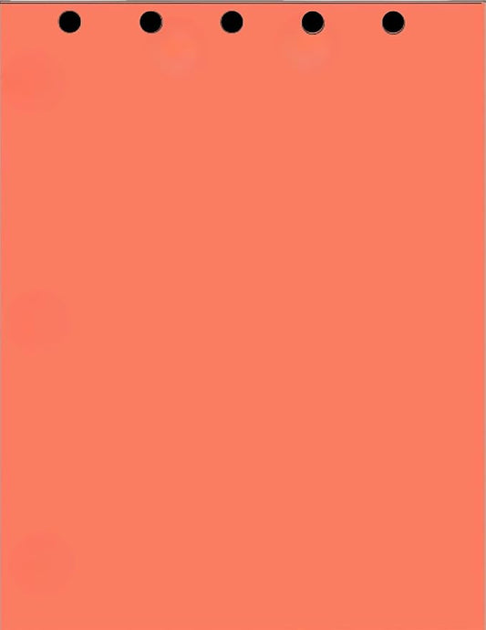 Limited Papers Writing and Copy Paper, Variation of Colors 8.5" x 11", 5 Hole by Limited+Papers