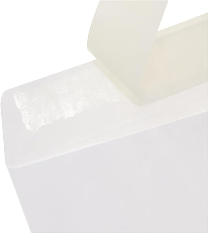 Amazon Basics Catalog Mailing Envelopes, Peel and Seal, 10 x 13 Inch - Image 3
