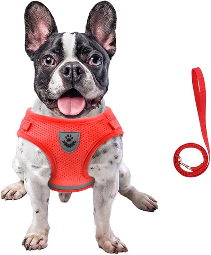 FEimaX Dog Harness and Leash Set by FEimaX