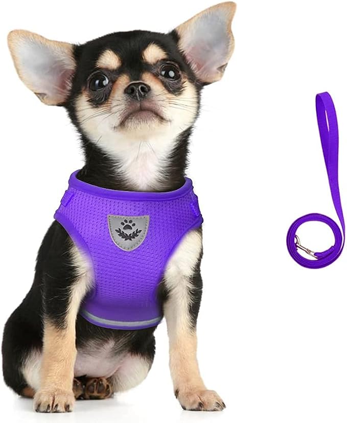 FEimaX Dog Harness and Leash Set by FEimaX
