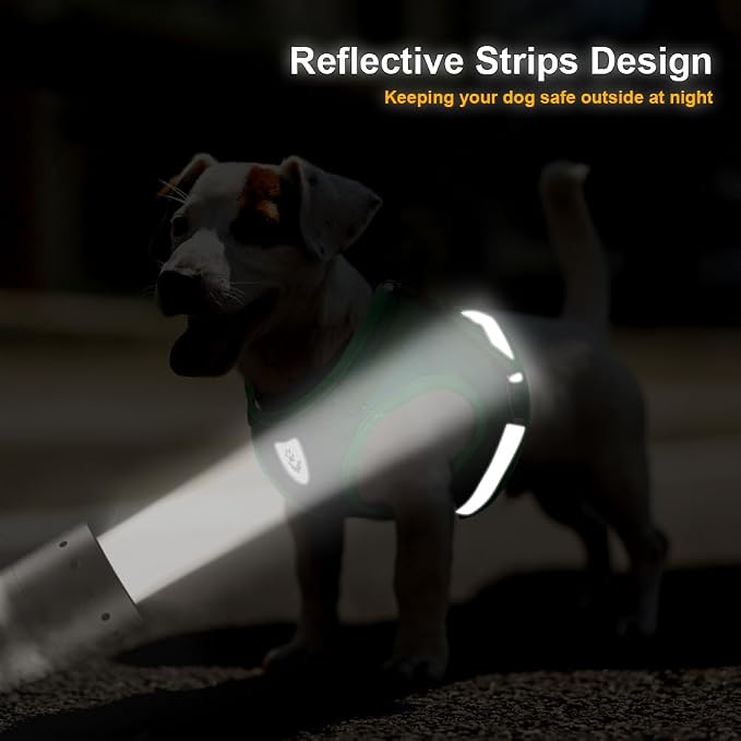 FEimaX Dog Harness and Leash Set - Image 6