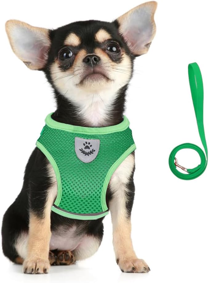 FEimaX Dog Harness and Leash Set by FEimaX