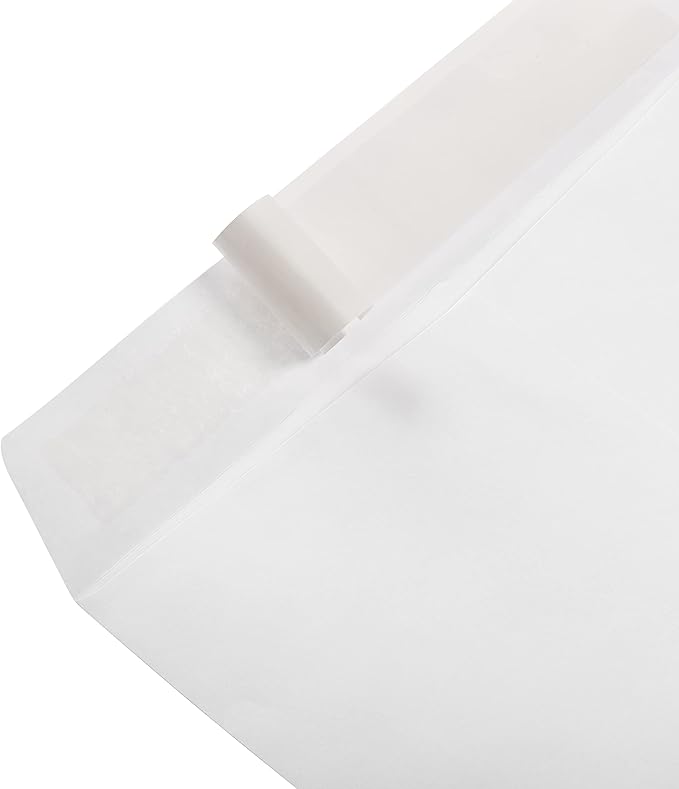 Amazon Basics Catalog Mailing Envelopes, Peel and Seal, 9x12 Inch - Image 4