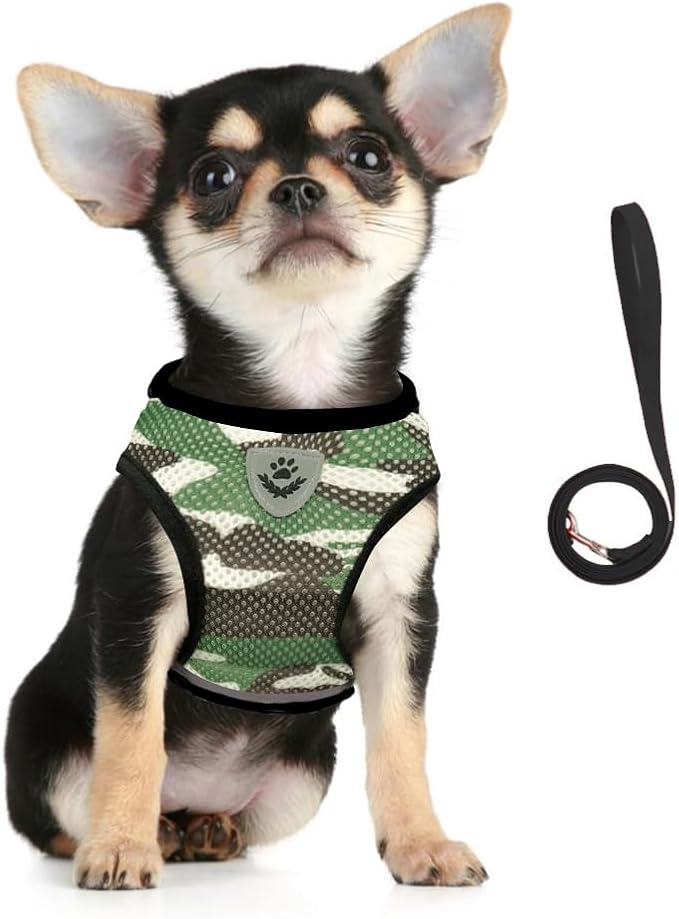 FEimaX Dog Harness and Leash Set by FEimaX