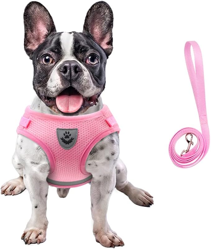 FEimaX Dog Harness and Leash Set by FEimaX