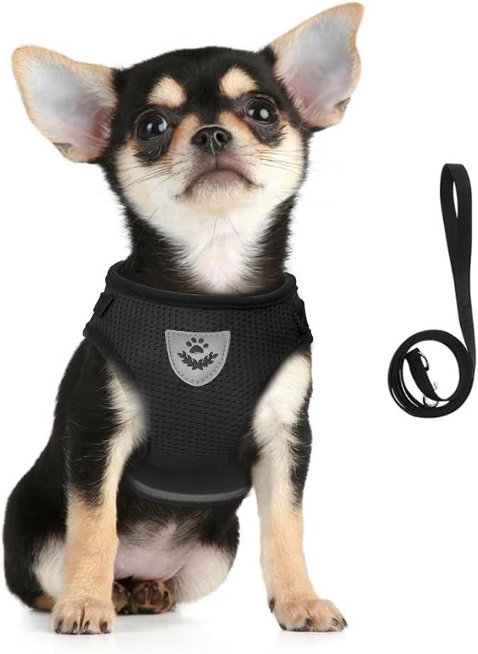 FEimaX Dog Harness and Leash Set by FEimaX