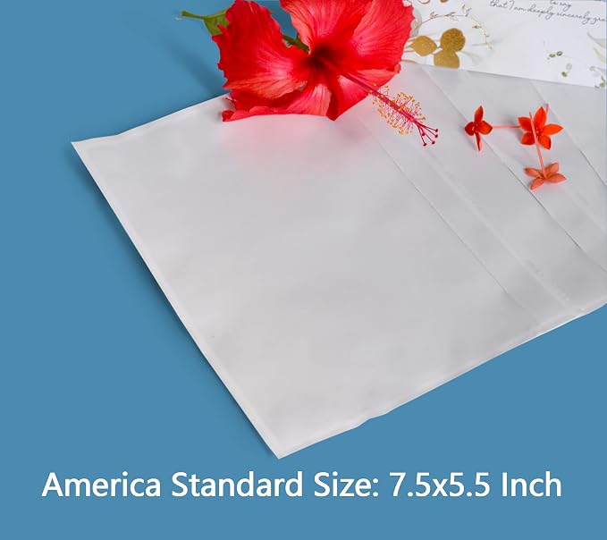 1000 PCS 7.5"x 5.5" Clear Self-Adhesive Packing List Envelopes - Image 2