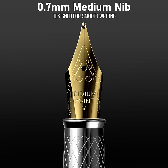 Nicpro Fountain Pen Set with Box, Classic Silver-Gold Fancy Pen with Converter - Image 2