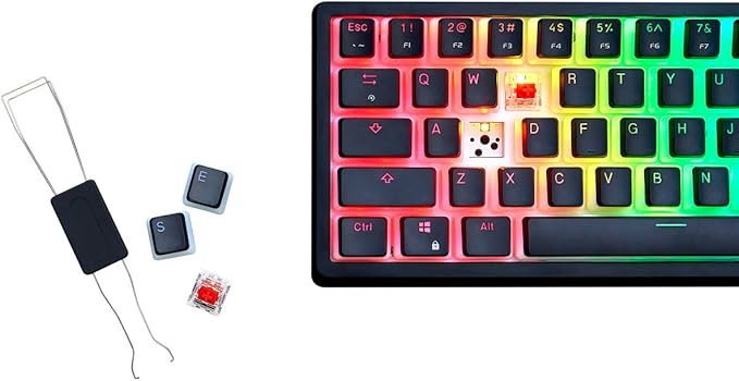 G.SKILL KM250 RGB 65% (67-Key) Mechanical Keyboard, PBT Dual Injection Keycap (Black)-DeskLoop Office