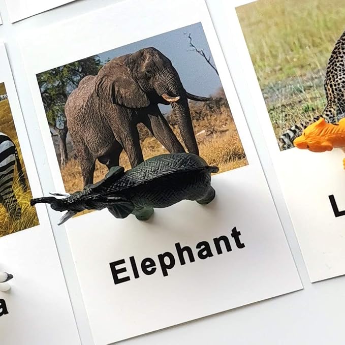 MEROCO Montessori Animal Match - Image 3