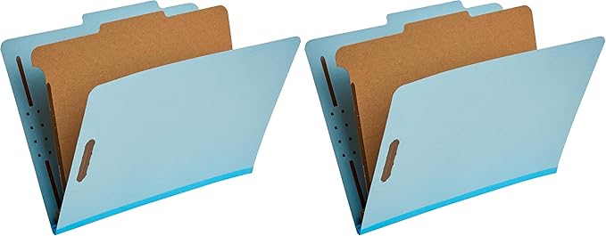 Amazon Basics Classification Folder by AmazonBasics