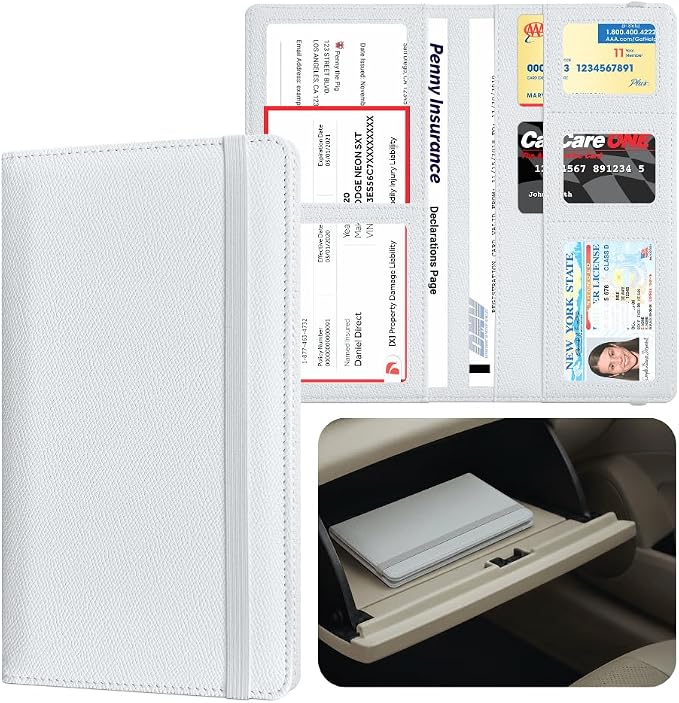 LINTRU 6-Pocket Car Registration & Insurance Card Holder by LINTRU