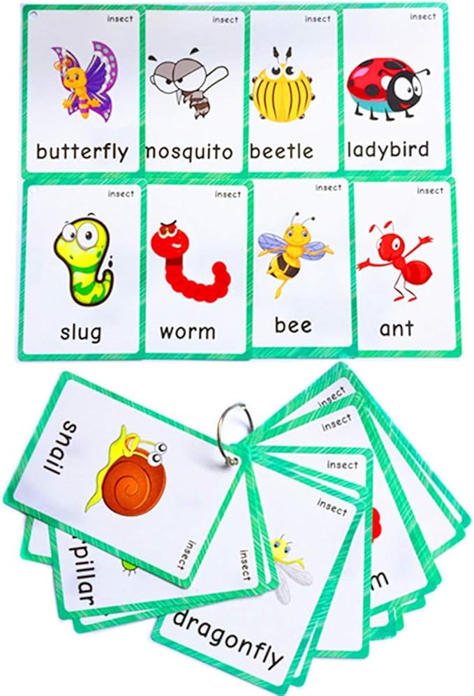 Set of Adjective&Antonym and Insect Flash Cards - Image 6