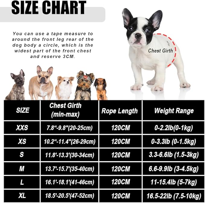 FEimaX Dog Harness and Leash Set - Image 6