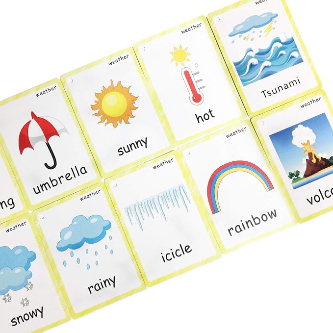 SANTSUN 24 Pcs Weather Flashcards Set - Image 4