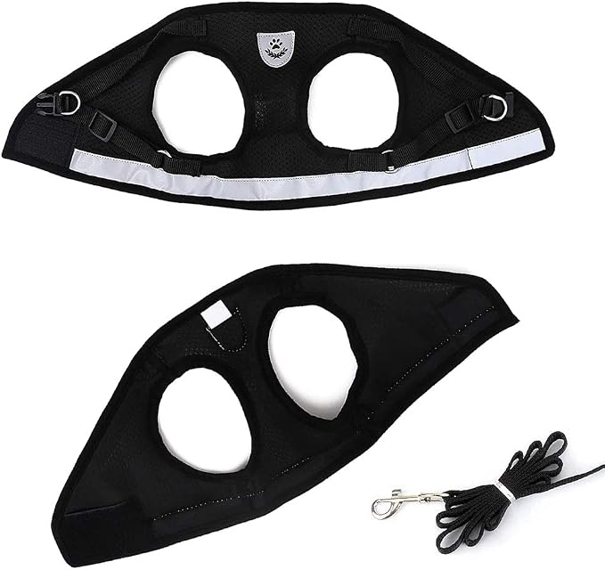 FEimaX Dog Harness and Leash Set - Image 6