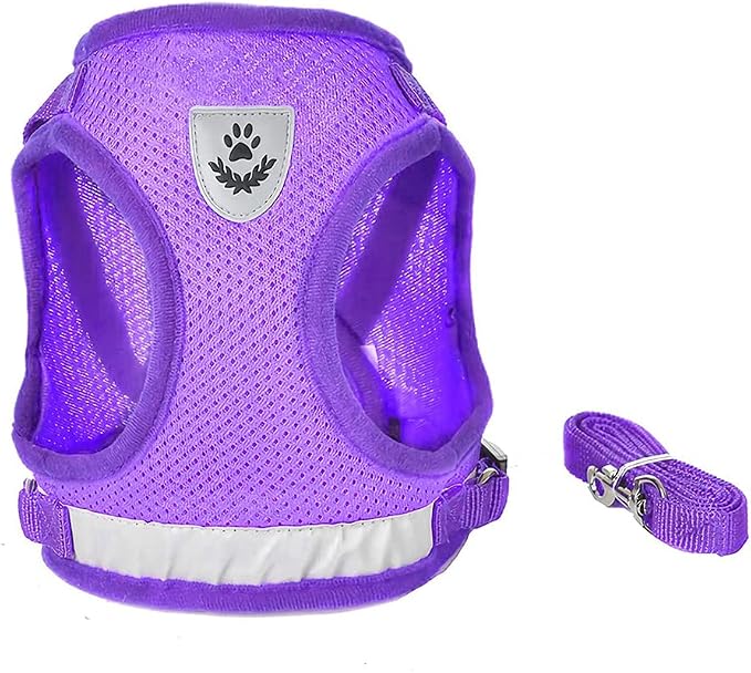 FEimaX Dog Harness and Leash Set - Image 3