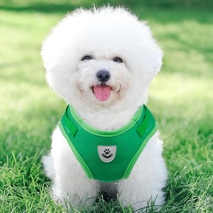 FEimaX Dog Harness and Leash Set - Image 7