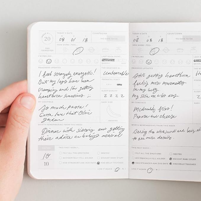 Letterfolk Pregnancy Passport Journal — Pocket-sized Maternity Milestone Book (3.5" W x 5.5" H)