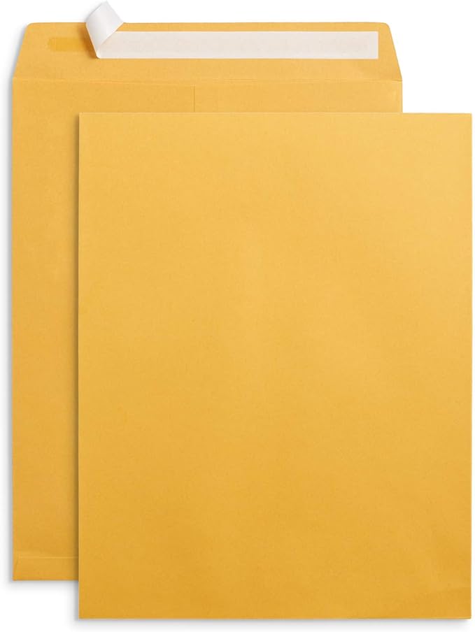 Blue Summit Supplies 100 10” x 13” Catalog Envelopes, Self Seal, by BlueSummitSupplies