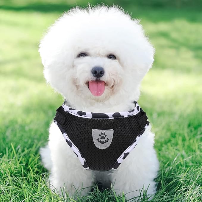 FEimaX Dog Harness and Leash Set - Image 7