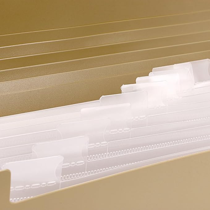 BTSKY Expanding File Folder - Image 6