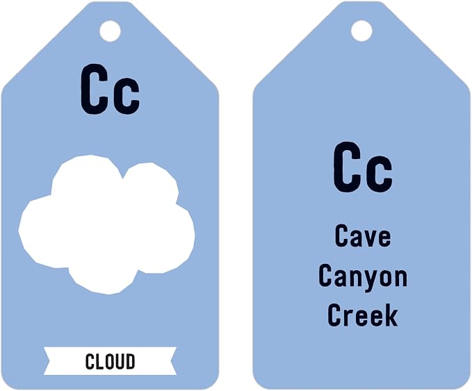 Mudpuppy ABCs of The Earth — Ring Flashcards 26 Durable Double Sided Alphabet - Image 4
