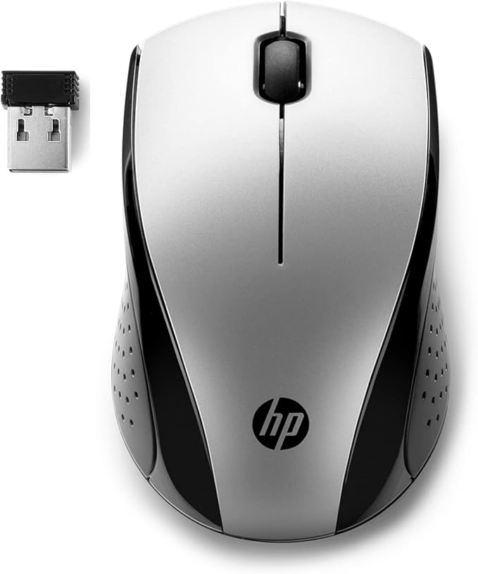 HP X3000 G3 Wireless Mouse Silver, up to 15-Month Battery,Scroll Wheel, Side Grips for Control, Travel-Friendly, Blue LED, Powerful 1600 DPI Optical Sensor, Win XP,8, 11 Compatible (683N9AA#ABL)-DeskLoop Office