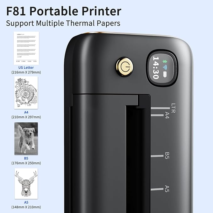 Rongta Portable Printers Wireless for Travel, WiFi & Bluetooth Mobile Printer, Thermal Inkless Printer for School/Office/Home Use, Compatible with Android,iOS & Laptop (Gray)-DeskLoop Office