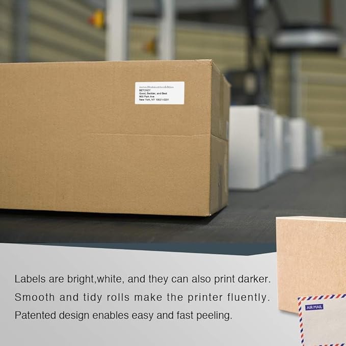 BETCKEY - Compatible DYMO 99019 (2-5/16" x 7-1/2") Large Lever Arch File Labels, Compatible with DYMO Labelwriter 450, 4XL, NOT Fit 550 & 5XL [2 Rolls/300 Labels]